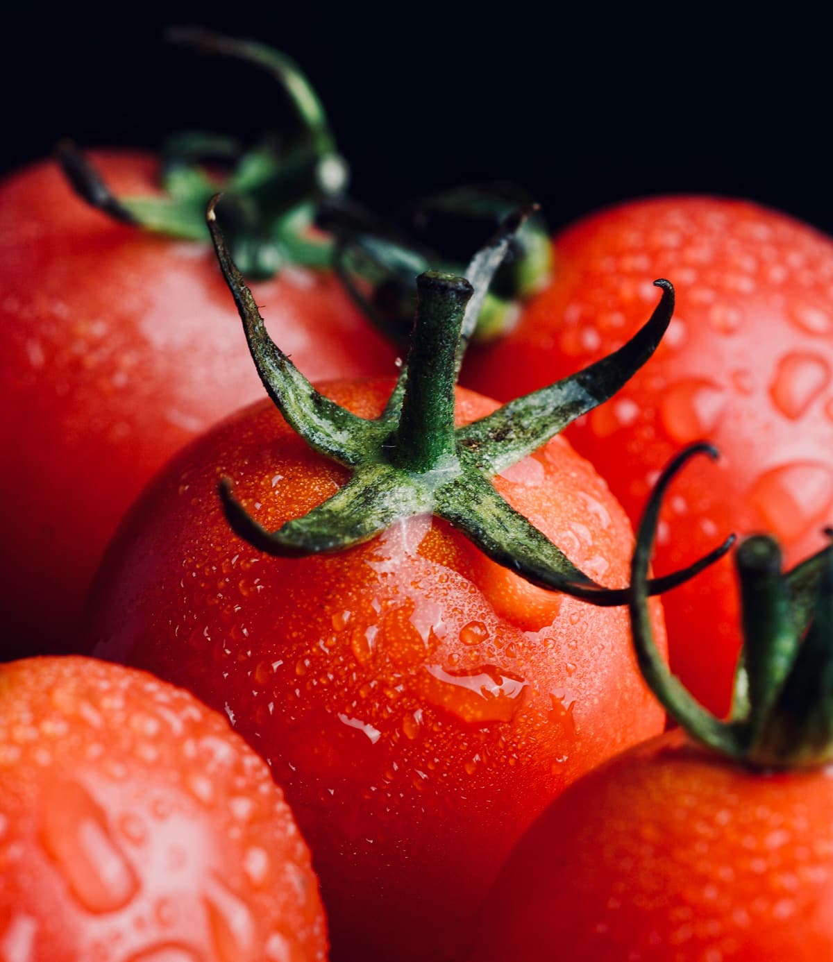Fresh red tomatoes